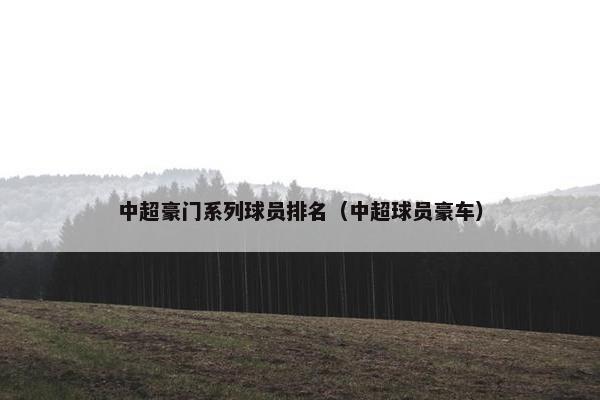 中超豪门系列球员排名（中超球员豪车）