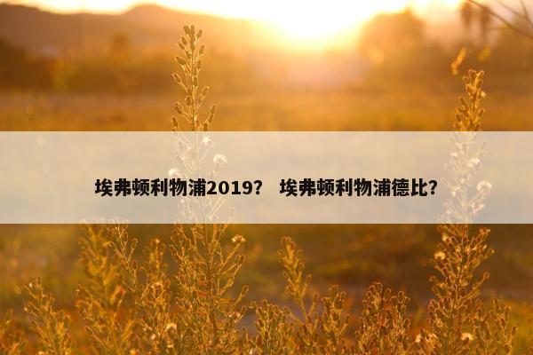 埃弗顿利物浦2019？ 埃弗顿利物浦德比？