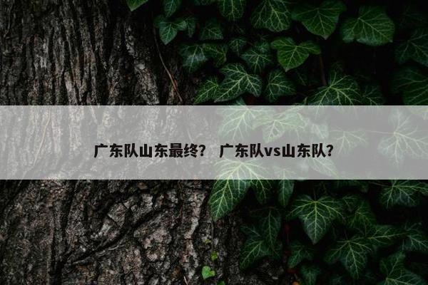 广东队山东最终？ 广东队vs山东队？