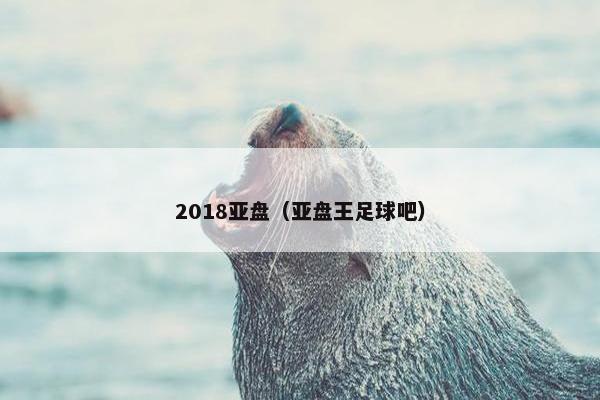 2018亚盘（亚盘王足球吧）