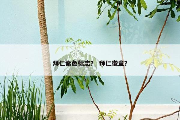 拜仁紫色标志? 拜仁徽章? 拜仁紫色标志? 拜仁徽章?