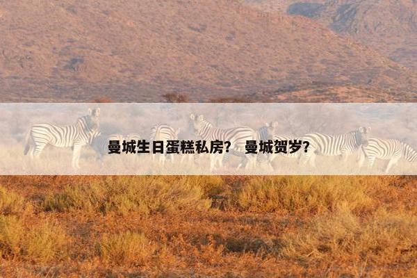 曼城生日蛋糕私房？ 曼城贺岁？