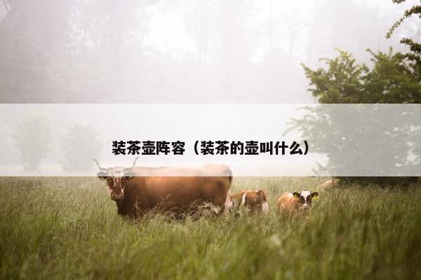 装茶壶阵容（装茶的壶叫什么）