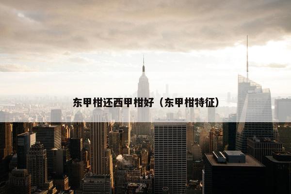 东甲柑还西甲柑好（东甲柑特征）