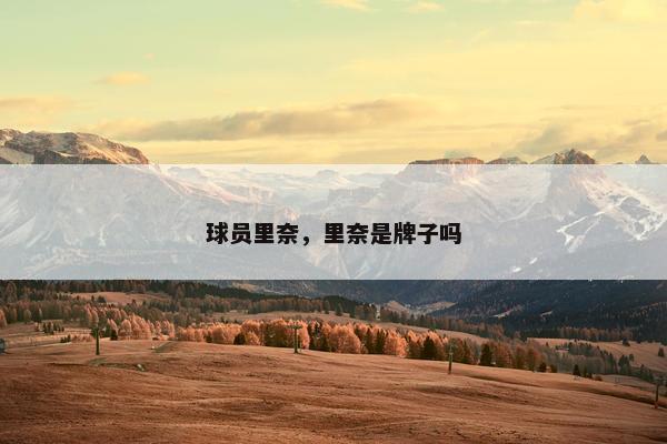 球员里奈，里奈是牌子吗