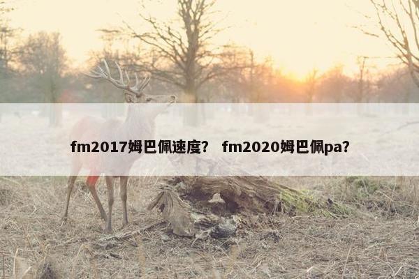 fm2017姆巴佩速度？ fm2020姆巴佩pa？