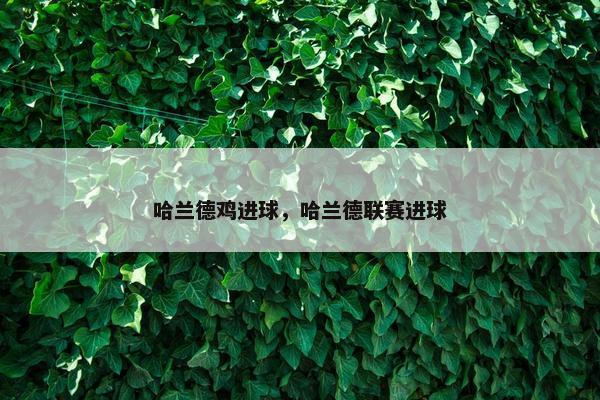 哈兰德鸡进球,哈兰德联赛进球 哈兰德鸡进球,哈兰德联赛进球