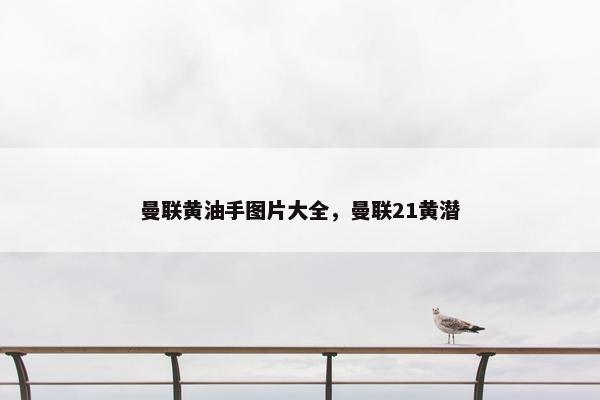 曼联黄油手图片大全，曼联21黄潜