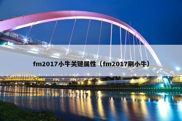 fm2017小牛关键属性（fm2017刷小牛）