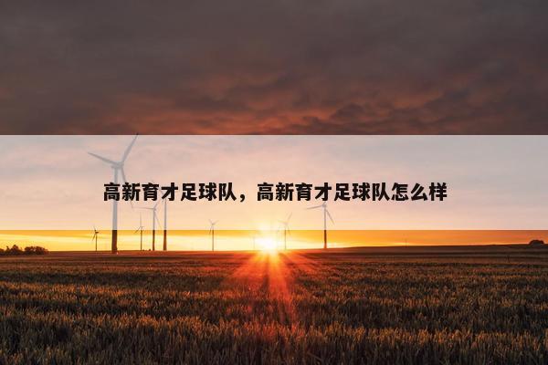 高新育才足球队，高新育才足球队怎么样