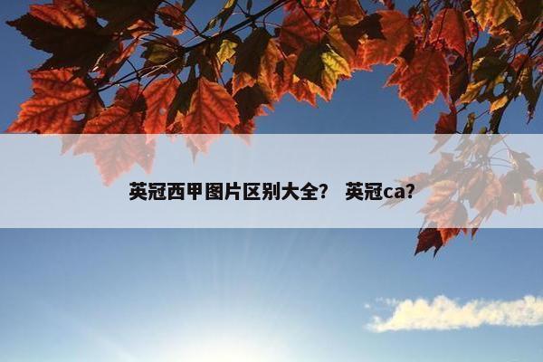 英冠西甲图片区别大全？ 英冠ca？