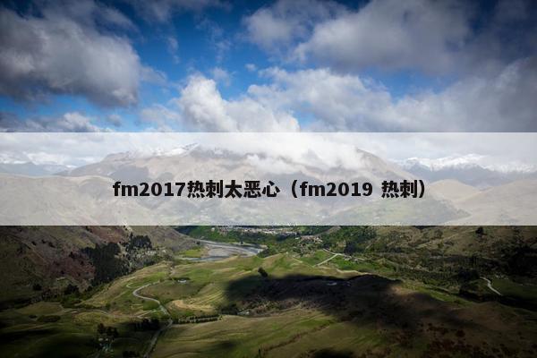 fm2017热刺太恶心（fm2019 热刺）