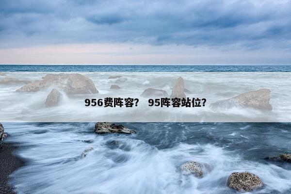 956费阵容？ 95阵容站位？