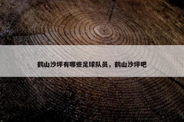 鹤山沙坪有哪些足球队员，鹤山沙坪吧