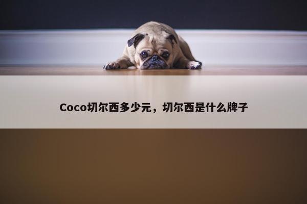 Coco切尔西多少元，切尔西是什么牌子