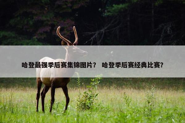 哈登最强季后赛集锦图片？ 哈登季后赛经典比赛？