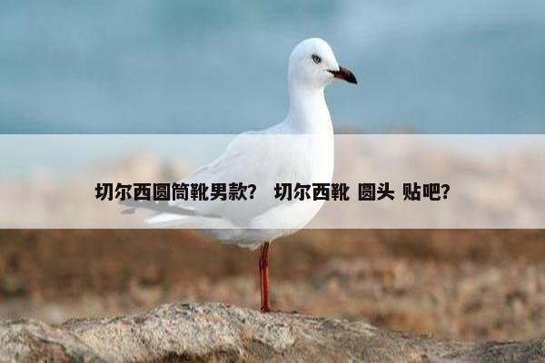 切尔西圆筒靴男款？ 切尔西靴 圆头 贴吧？