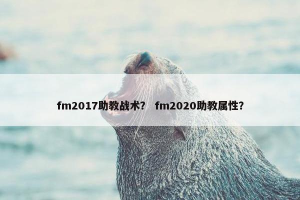 fm2017助教战术？ fm2020助教属性？