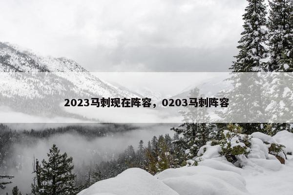 2023马刺现在阵容，0203马刺阵容