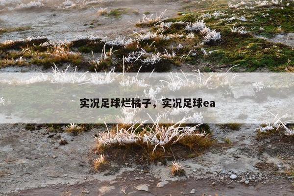 实况足球烂橘子，实况足球ea