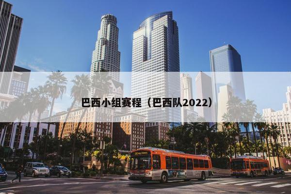 巴西小组赛程（巴西队2022）