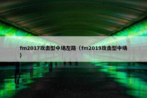 fm2017攻击型中场左路（fm2019攻击型中场）