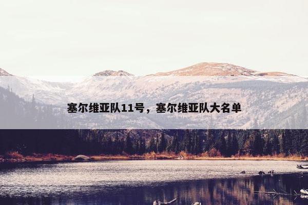 塞尔维亚队11号，塞尔维亚队大名单