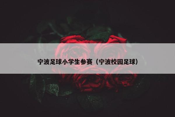 宁波足球小学生参赛（宁波校园足球）