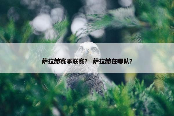 萨拉赫赛季联赛？ 萨拉赫在哪队？