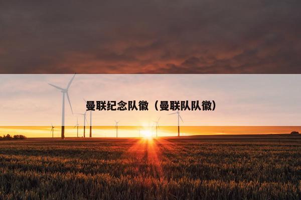 曼联纪念队徽（曼联队队徽）