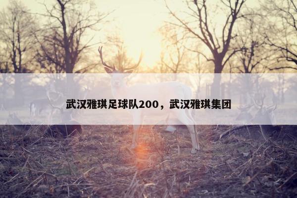 武汉雅琪足球队200，武汉雅琪集团