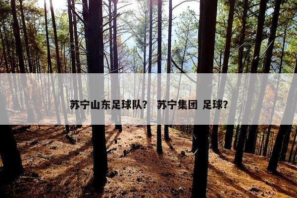 苏宁山东足球队？ 苏宁集团 足球？