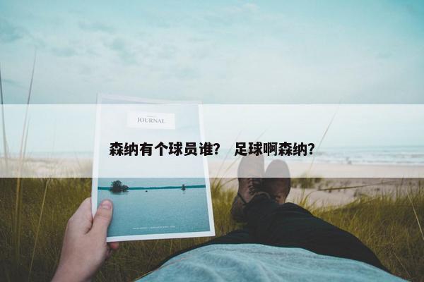 森纳有个球员谁？ 足球啊森纳？