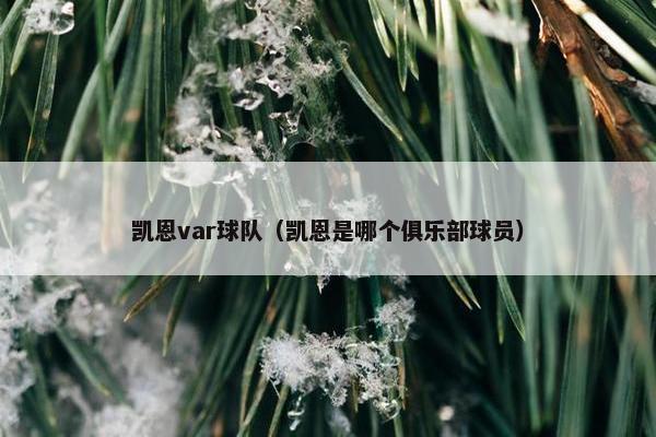 凯恩var球队（凯恩是哪个俱乐部球员）