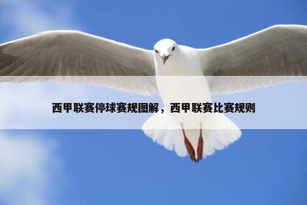 西甲联赛停球赛规图解，西甲联赛比赛规则