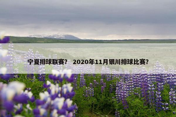 宁夏排球联赛？ 2020年11月银川排球比赛？