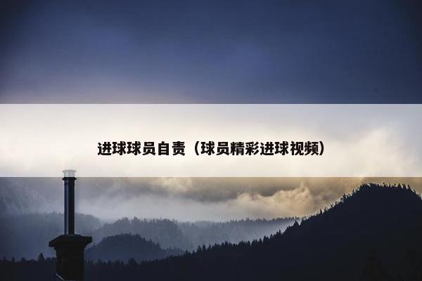 进球球员自责（球员精彩进球视频）