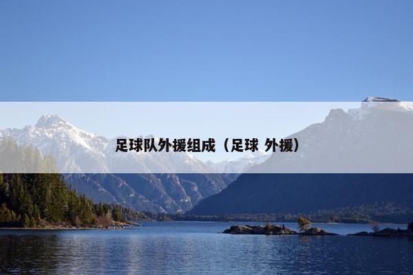 足球队外援组成（足球 外援）