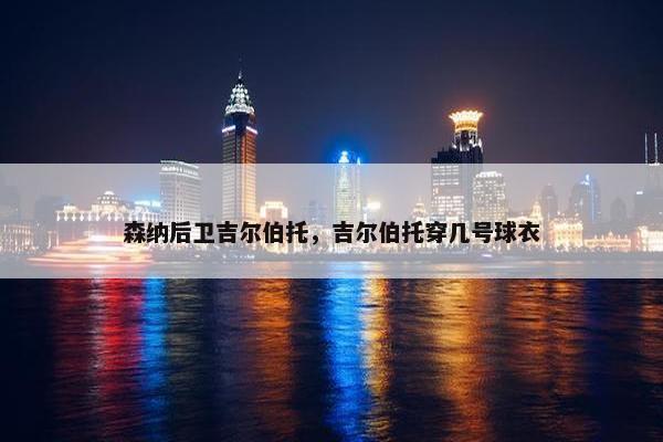 森纳后卫吉尔伯托，吉尔伯托穿几号球衣