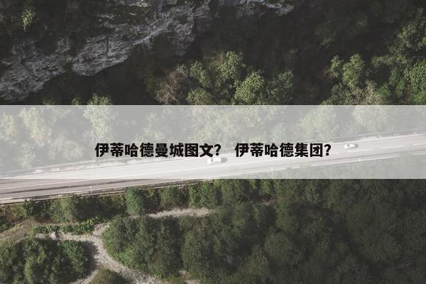 伊蒂哈德曼城图文？ 伊蒂哈德集团？