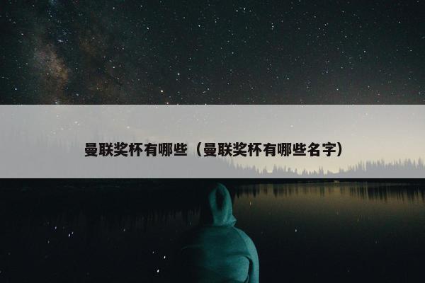 曼联奖杯有哪些（曼联奖杯有哪些名字）