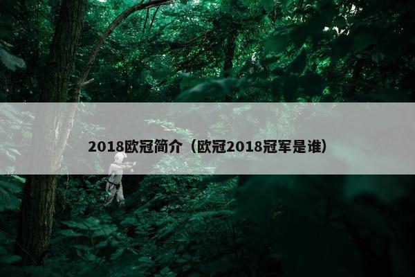 2018欧冠简介（欧冠2018冠军是谁）