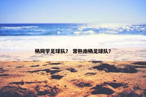 杨同学足球队？ 常熟南杨足球队？