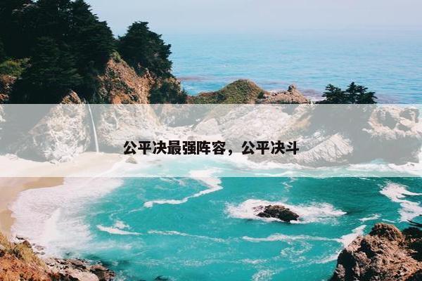公平决最强阵容，公平决斗