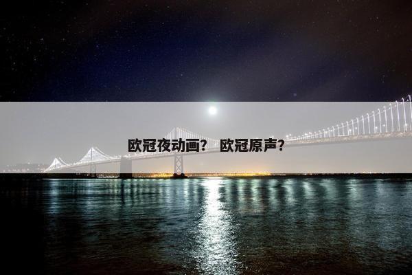 欧冠夜动画？ 欧冠原声？