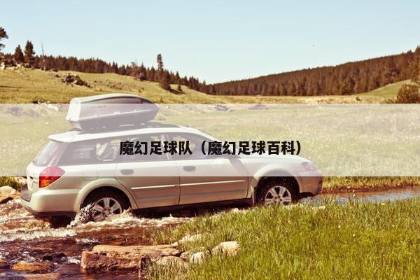 魔幻足球队（魔幻足球百科）