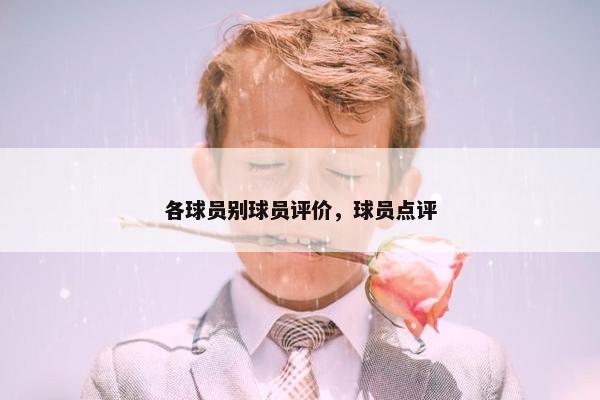 各球员别球员评价，球员点评