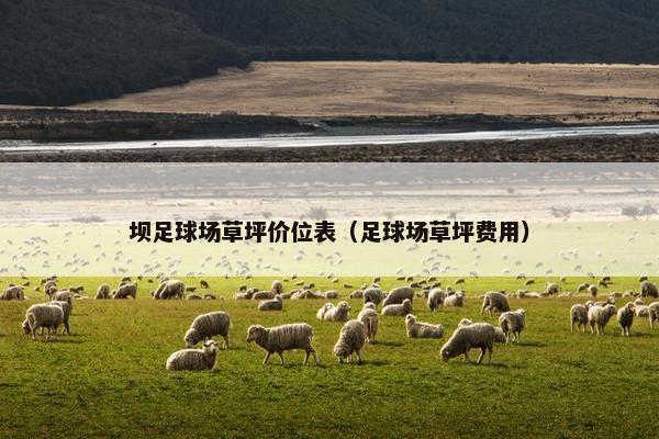 坝足球场草坪价位表（足球场草坪费用）