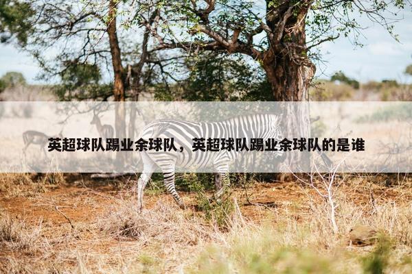 英超球队踢业余球队,英超球队踢业余球队的是谁 英超球队踢业余球队,英超球队踢业余球队的是谁