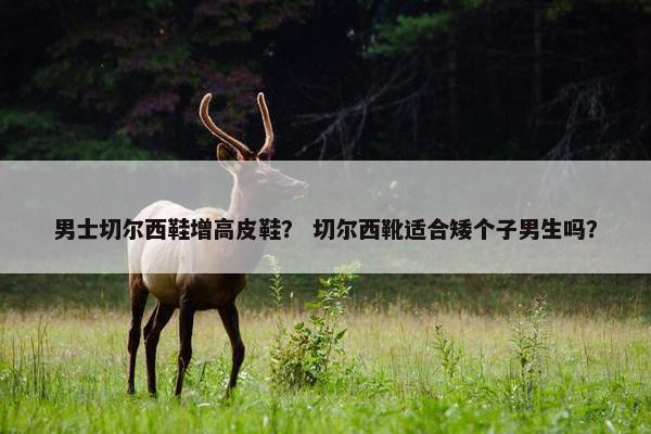 男士切尔西鞋增高皮鞋？ 切尔西靴适合矮个子男生吗？